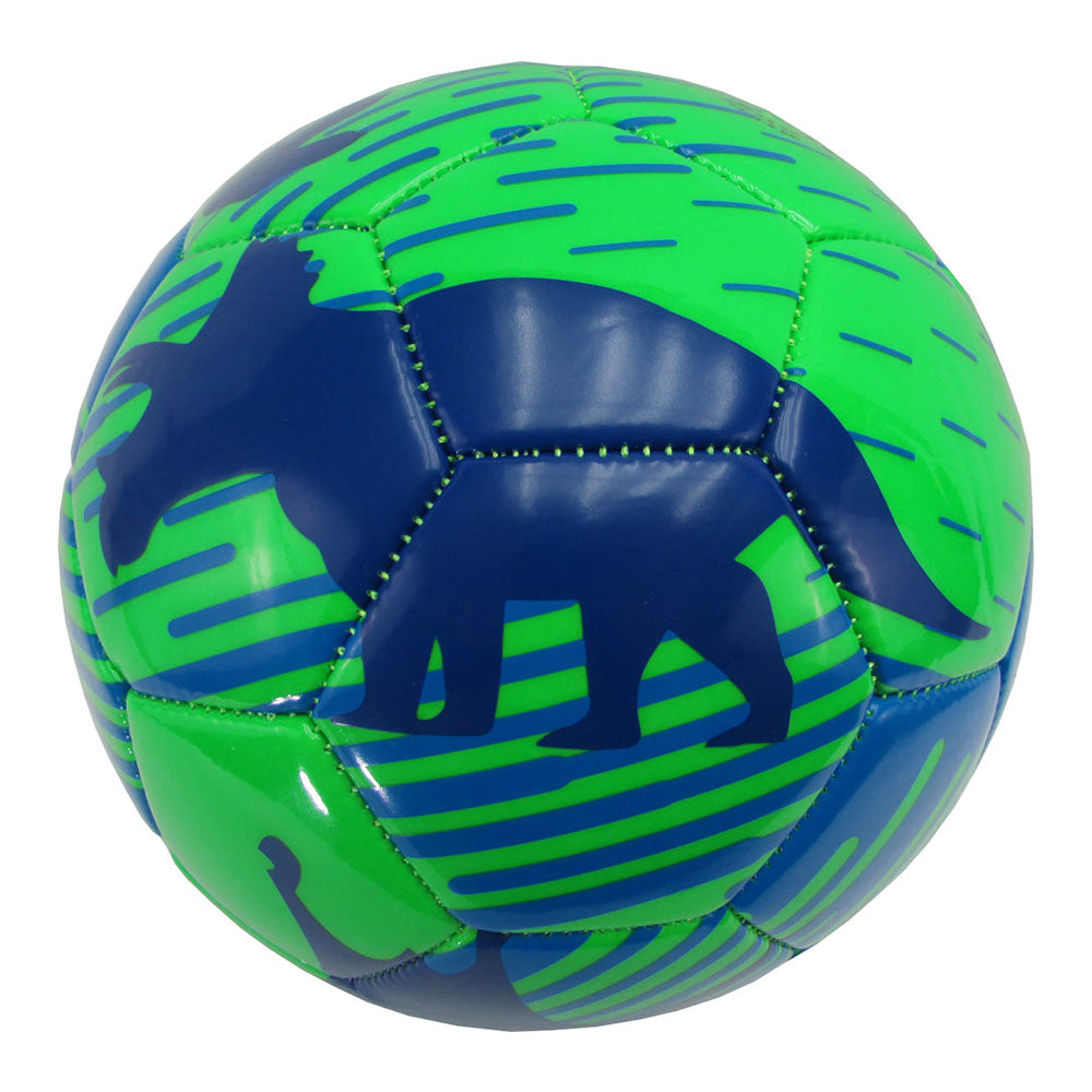 Dino Soccer Ball-Green/Blue