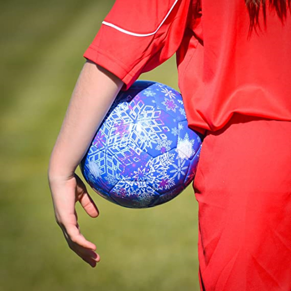 Frost 2 Soccer Ball-Blue/Purple - Vizari Sports