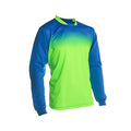 Vizari Vallejo Goalkeeper Jersey – Royal/Green